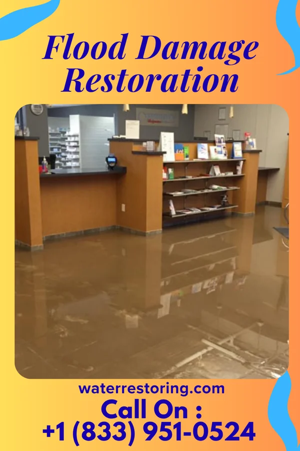 Flood Damage Restoration in Browns Lake, WI