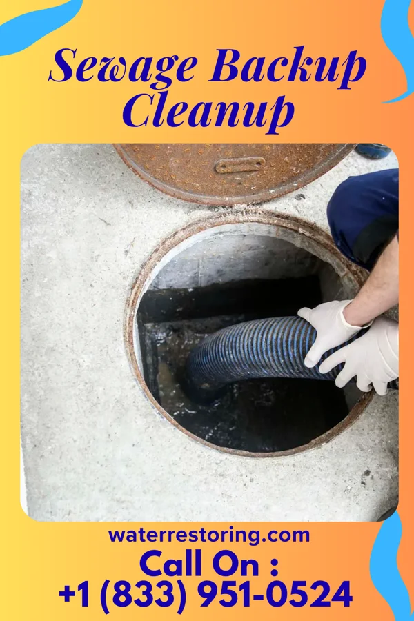 Sewage Backup Cleanup in Browns Lake, WI