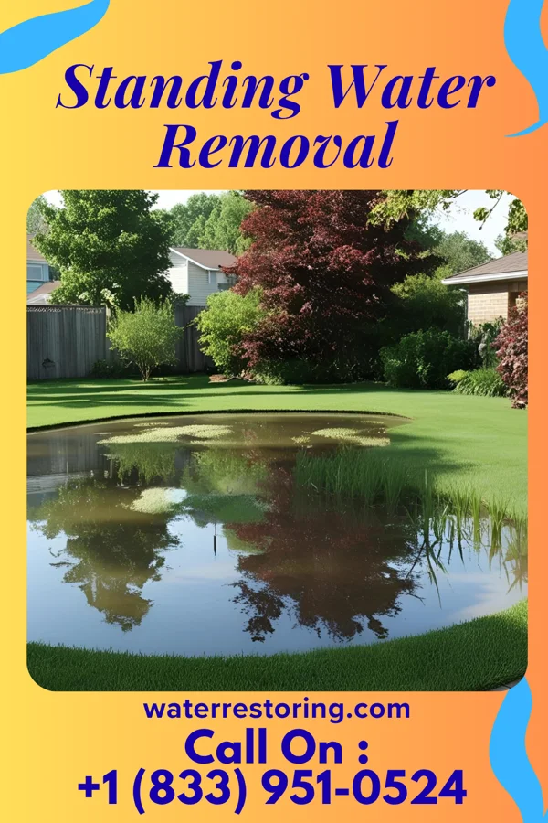 Standing Water Removal in Browns Lake, WI